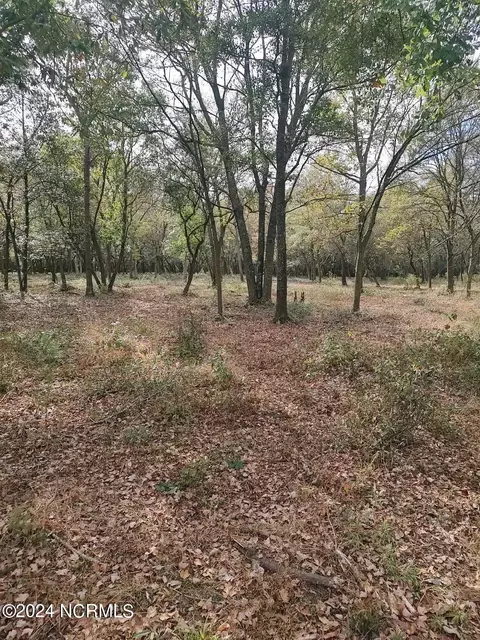 848 Sandridge Rd, Pink Hill, NC 28572