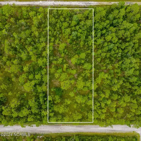 1150 Beech Rd, Boiling Spring Lakes, NC 28461 photo 3