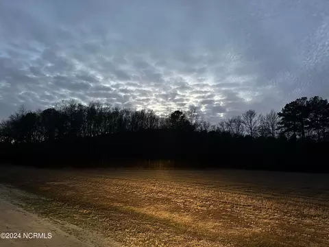 115 Mallie Dr, Pikeville, NC 27863