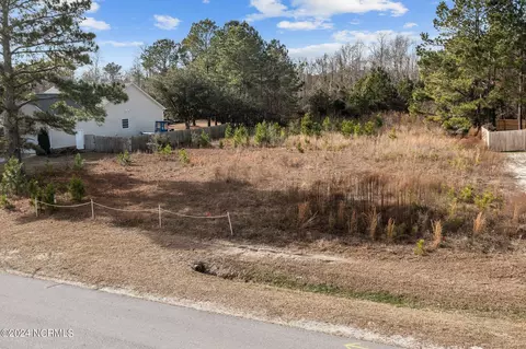 231 Everett Yopp Dr, Sneads Ferry, NC 28460