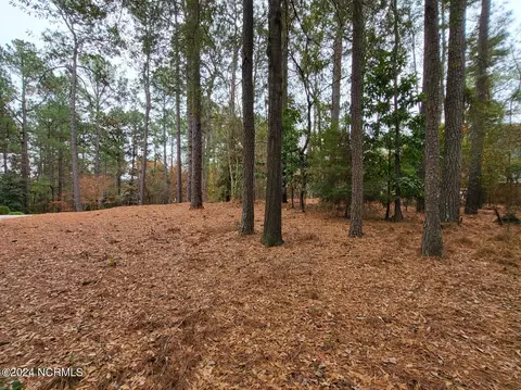 13 Sassafras Ln, Pinehurst, NC 28374 photo 3