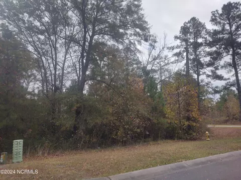 3819 Hallmark Rd NE, Leland, NC 28451