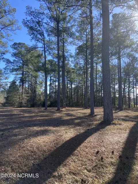 150 Two Lakes Trl, New Bern, NC 28560