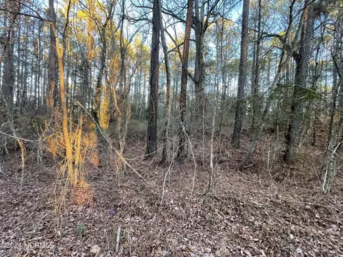 1061 Loblolly Dr, Vass, NC 28394