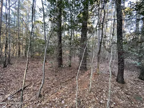 1053 Loblolly Dr, Vass, NC 28394