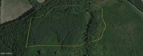 0 Wilmington Hwy, Willard, NC 28478