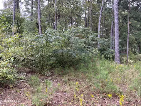 000 Lee Dr, Spring Hope, NC 27882