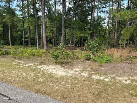101 Schever Rd, West End, NC 27376 photo 12