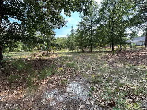 101 Schever Rd, West End, NC 27376 photo 17