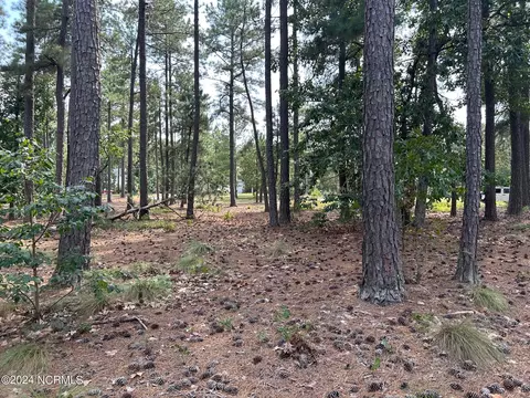 101 Schever Rd, West End, NC 27376 photo 14
