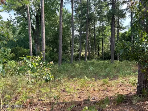 101 Schever Rd, West End, NC 27376 photo 2