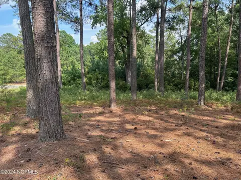 101 Schever Rd, West End, NC 27376 photo 9