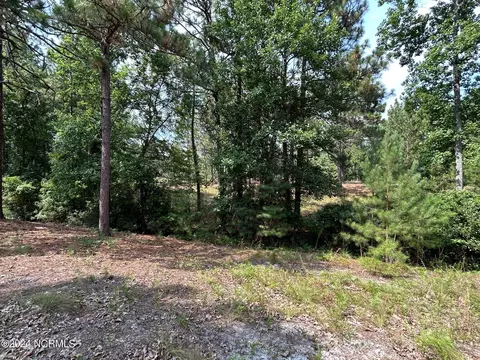 101 Schever Rd, West End, NC 27376 photo 18