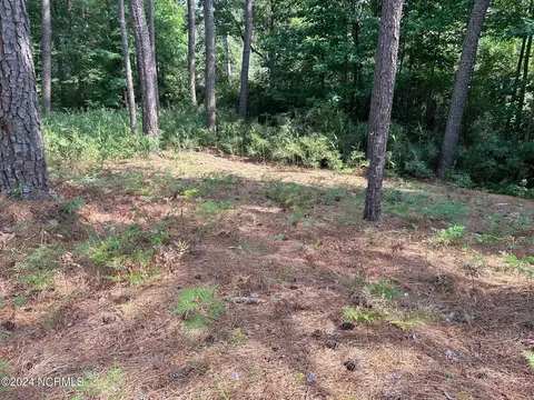 101 Schever Rd, West End, NC 27376 photo 8