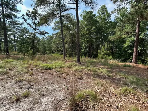 101 Schever Rd, West End, NC 27376 photo 16