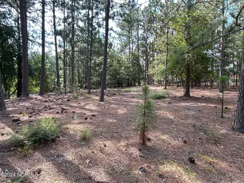 101 Schever Rd, West End, NC 27376 photo 7
