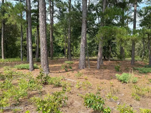 101 Schever Rd, West End, NC 27376 photo 13