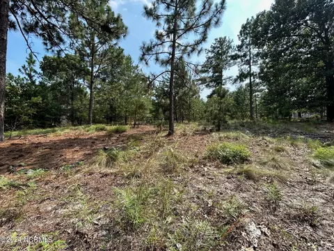 101 Schever Rd, West End, NC 27376 photo 19