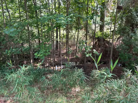 101 Schever Rd, West End, NC 27376 photo 6