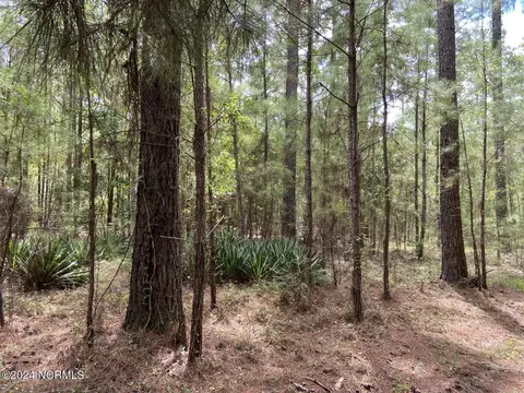 tbd Highway 746, Loris, SC 29569 photo 15