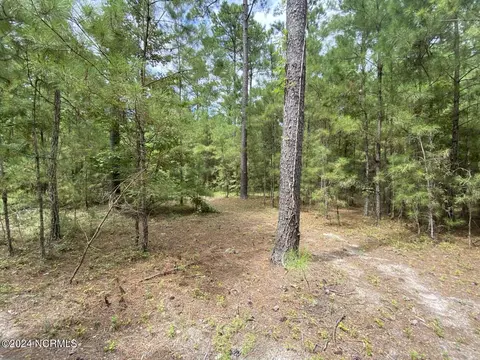 tbd Highway 746, Loris, SC 29569 photo 14