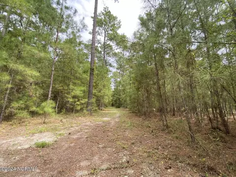 tbd Highway 746, Loris, SC 29569 photo 13