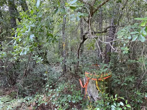tbd Highway 746, Loris, SC 29569 photo 24