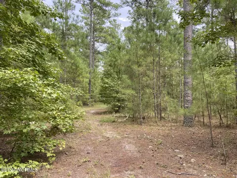 tbd Highway 746, Loris, SC 29569 photo 11