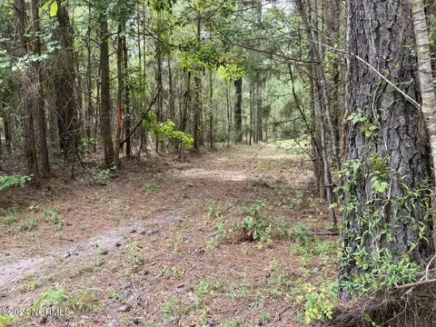 tbd Highway 746, Loris, SC 29569 photo 16