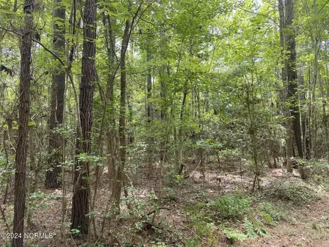 tbd Highway 746, Loris, SC 29569 photo 7