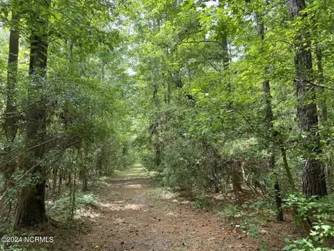 tbd Highway 746, Loris, SC 29569 photo 5