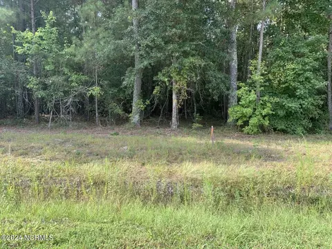 tbd Highway 746, Loris, SC 29569 photo 1
