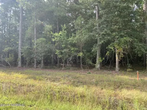 tbd Highway 746, Loris, SC 29569 photo 2