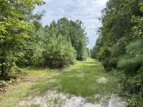 tbd Highway 746, Loris, SC 29569 photo 21