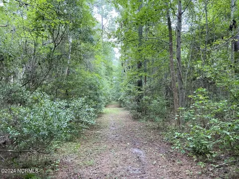 tbd Highway 746, Loris, SC 29569 photo 8