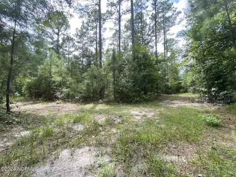 tbd Highway 746, Loris, SC 29569 photo 18