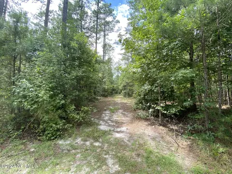 tbd Highway 746, Loris, SC 29569 photo 19