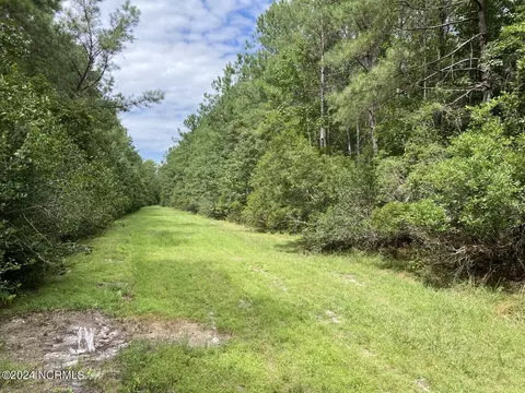 tbd Highway 746, Loris, SC 29569 photo 25