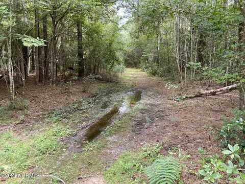 tbd Highway 746, Loris, SC 29569 photo 23