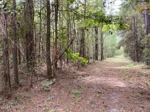 tbd Highway 746, Loris, SC 29569 photo 17