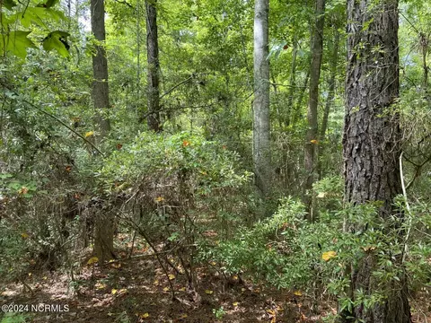 tbd Highway 746, Loris, SC 29569 photo 6