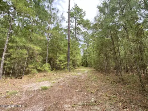 tbd Highway 746, Loris, SC 29569 photo 12
