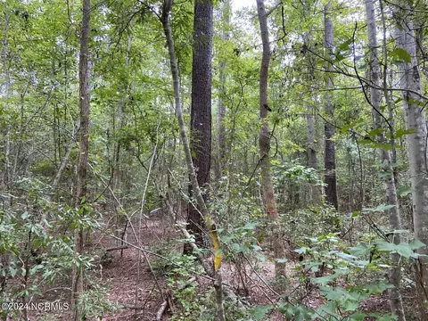 tbd Highway 746, Loris, SC 29569 photo 9