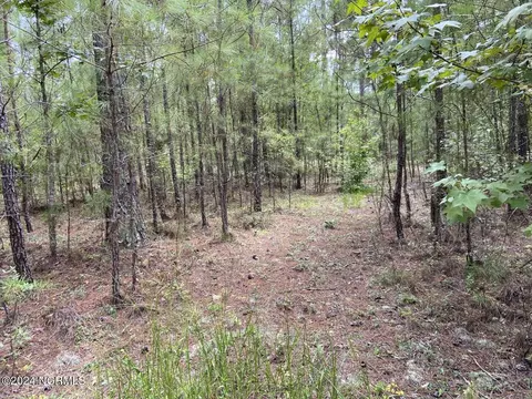 tbd Highway 746, Loris, SC 29569 photo 10