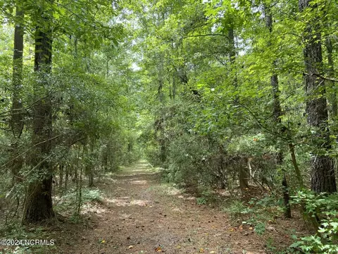 tbd Highway 746, Loris, SC 29569 photo 4