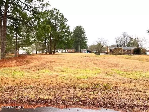 00 Maple St, Faison, NC 28341