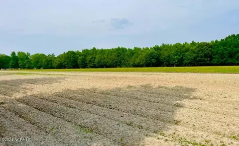 0001 Capps Bridge Rd, Princeton, NC 27569