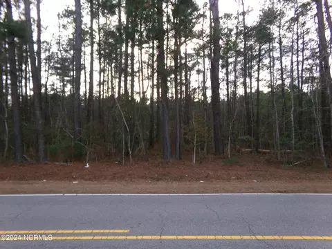 lot4 S W S Hwy 904, Fairmont, NC 28340