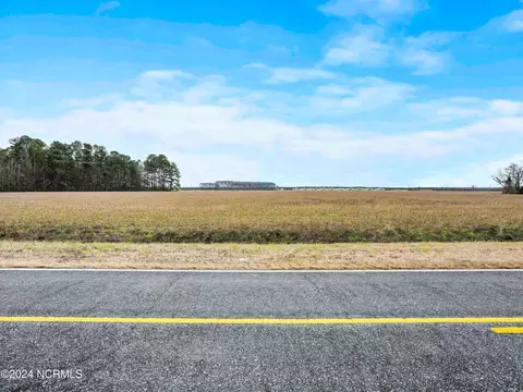 30 Ac Raccoon Rd, Willard, NC 28478 photo 17