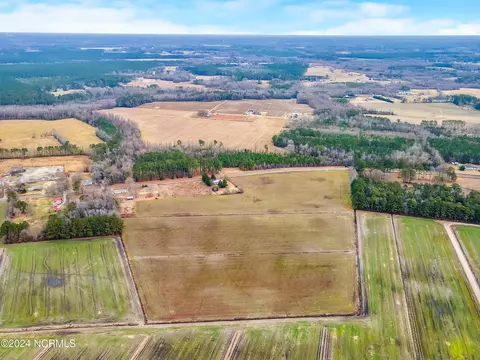 30 Ac Raccoon Rd, Willard, NC 28478 photo 9